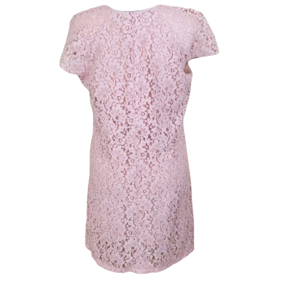 Zara Dusky Rose Floral Lace Shift Dress Cap Sleeves V-neck Loose Fit - Picture 5 of 9